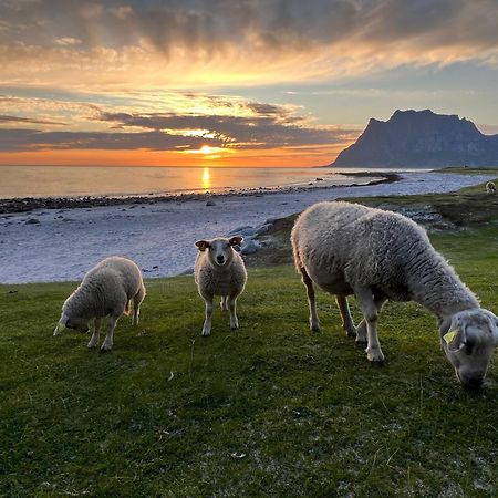 Fisherman'S Cabin, Lofoten - 24 Bardbua Ballstad Bagian luar foto